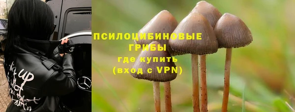 дживик Алексеевка