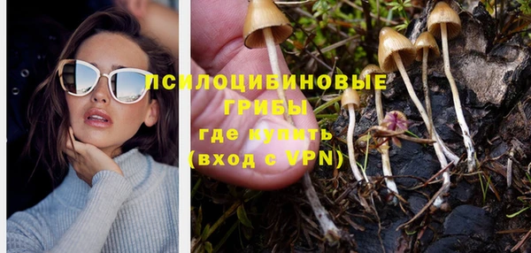 дживик Алексеевка
